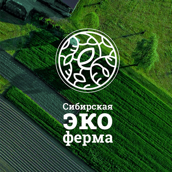 дизайн логотипа эко