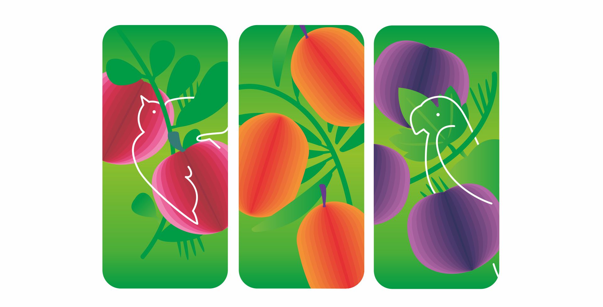 дизайн морсов и соков