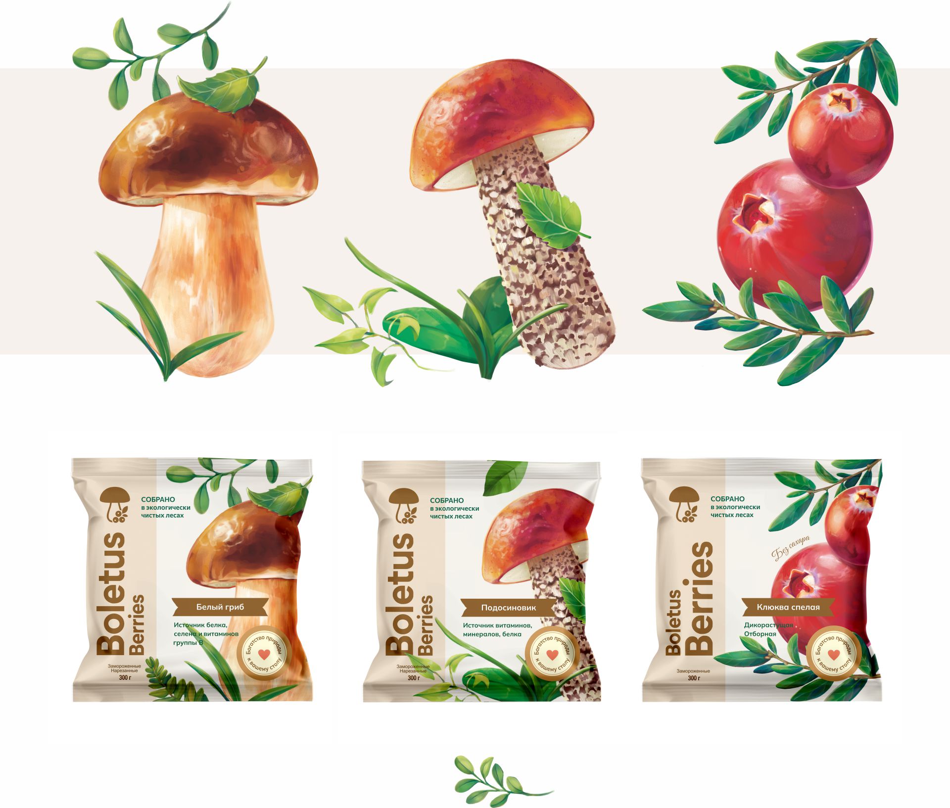 Брендинг упаковки грибов и ягод