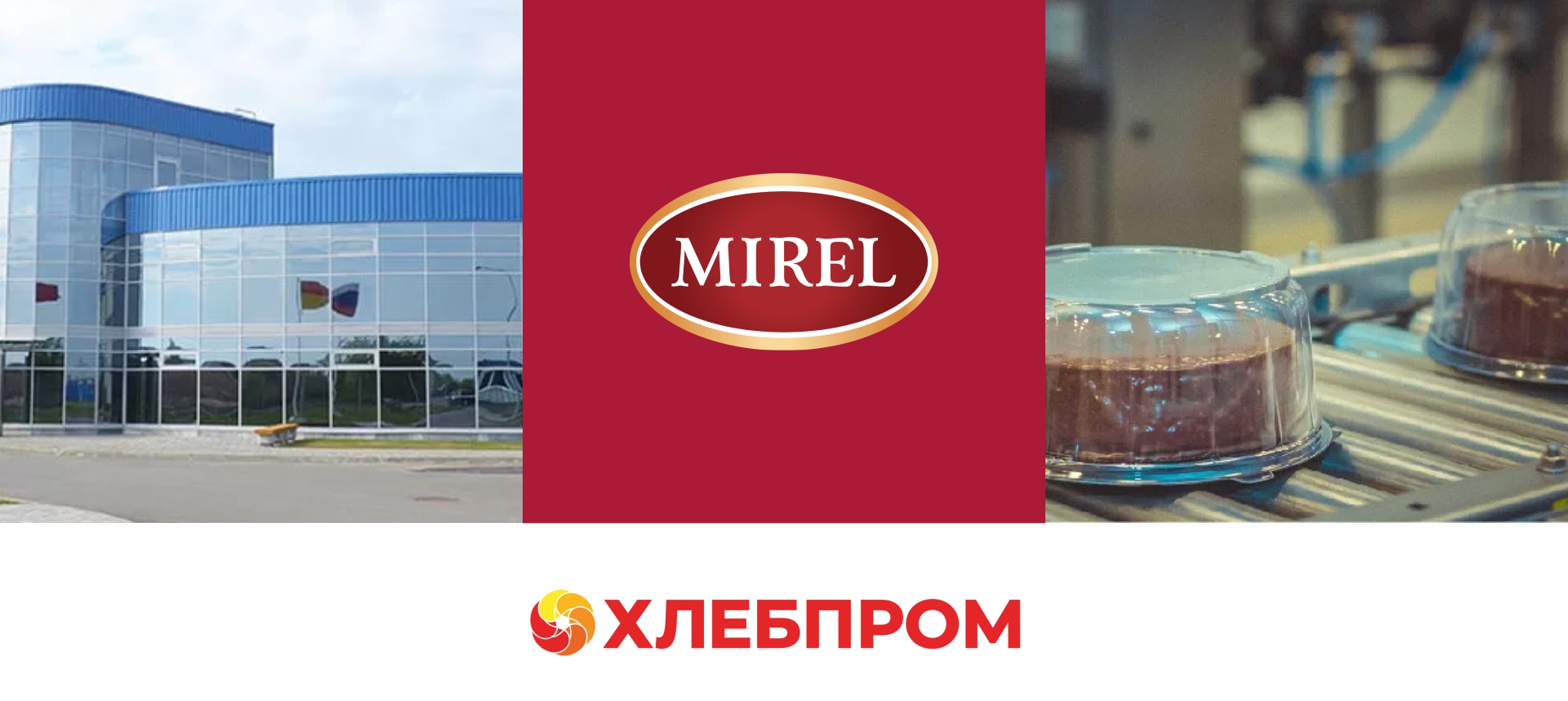 Этапы исследования и разработки позиционирования Mirel